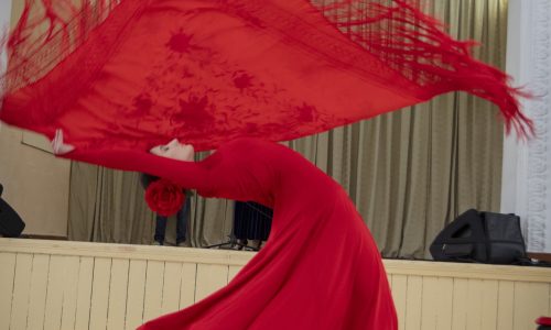 los colores de la danza